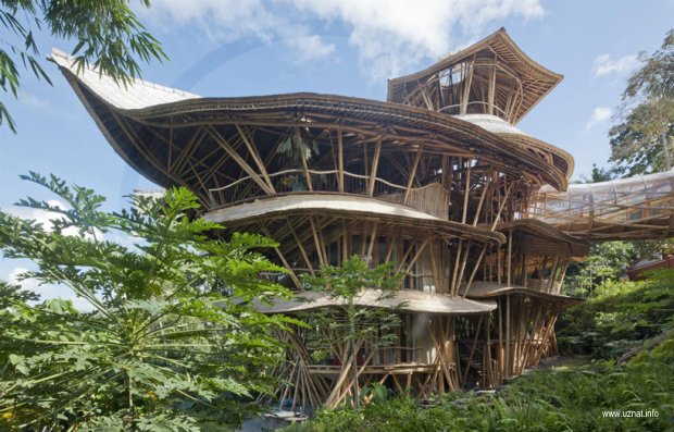 бамбуковый дом