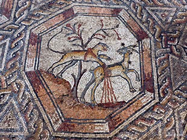 Древняя мозаика Лода
